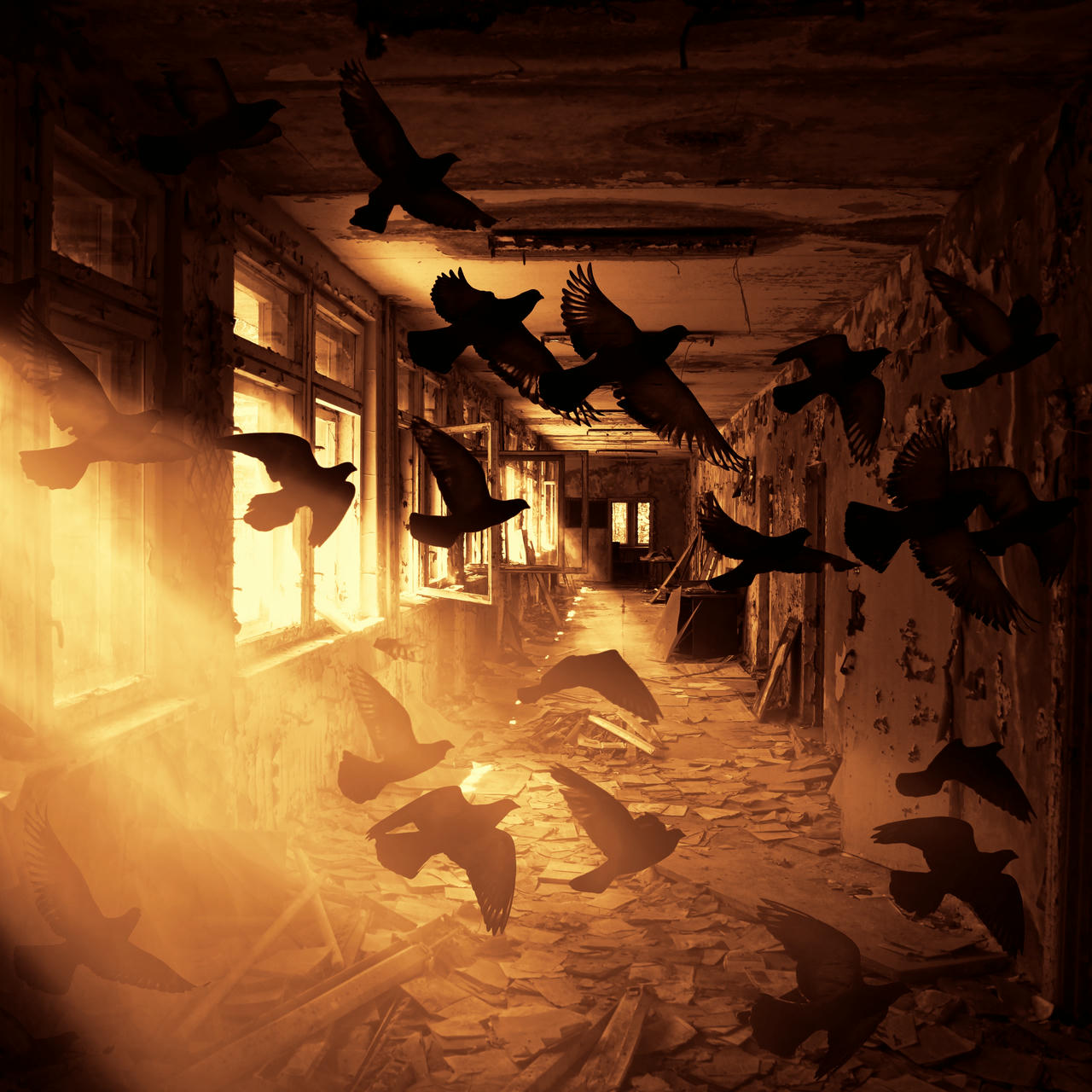 In a slightly desaturated orange tint, we are looking down at a very run down corridor with windows on the left, letting in intense rays of sunlight. On the right, a series of door openings. At the end of the corridor, window. Black birds are flying inside.