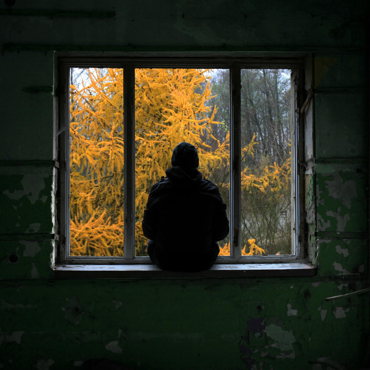 Inside an abandonned concrete room looking straight at a large window frame without glass panes. Green paint is peeling off from the walls. A man sits in the window frame, his back towards the camera, looking outside at a scene of nature. Outside, it's autumn and there are yellowed coniferous trees.